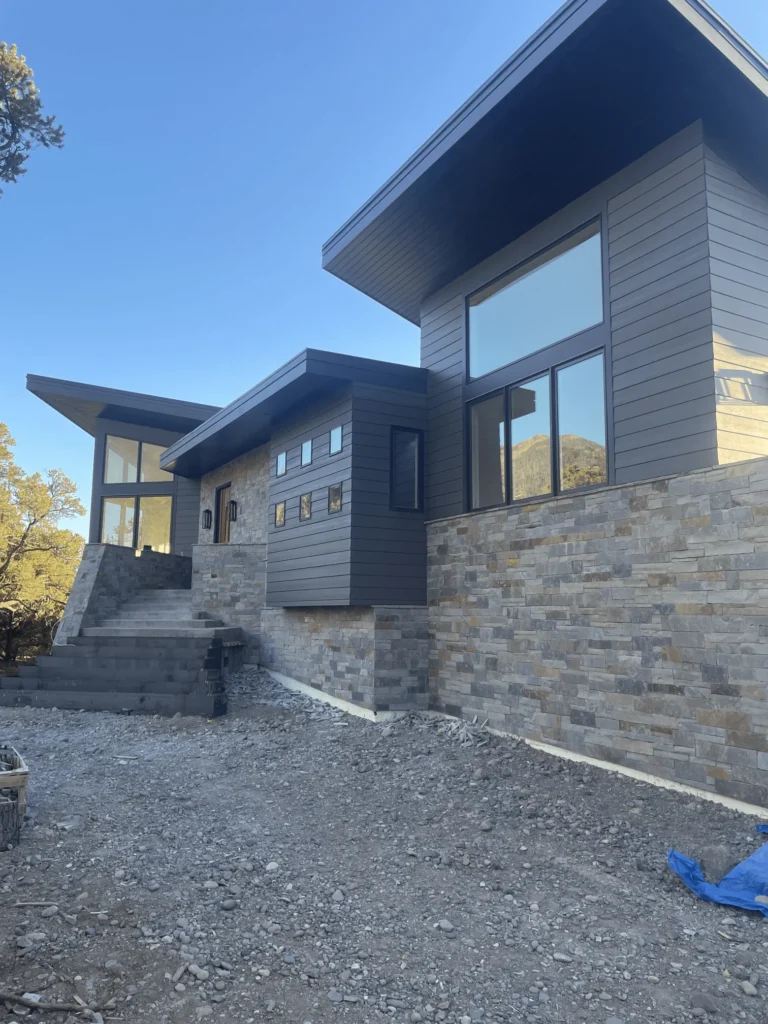 A modern house with dark siding