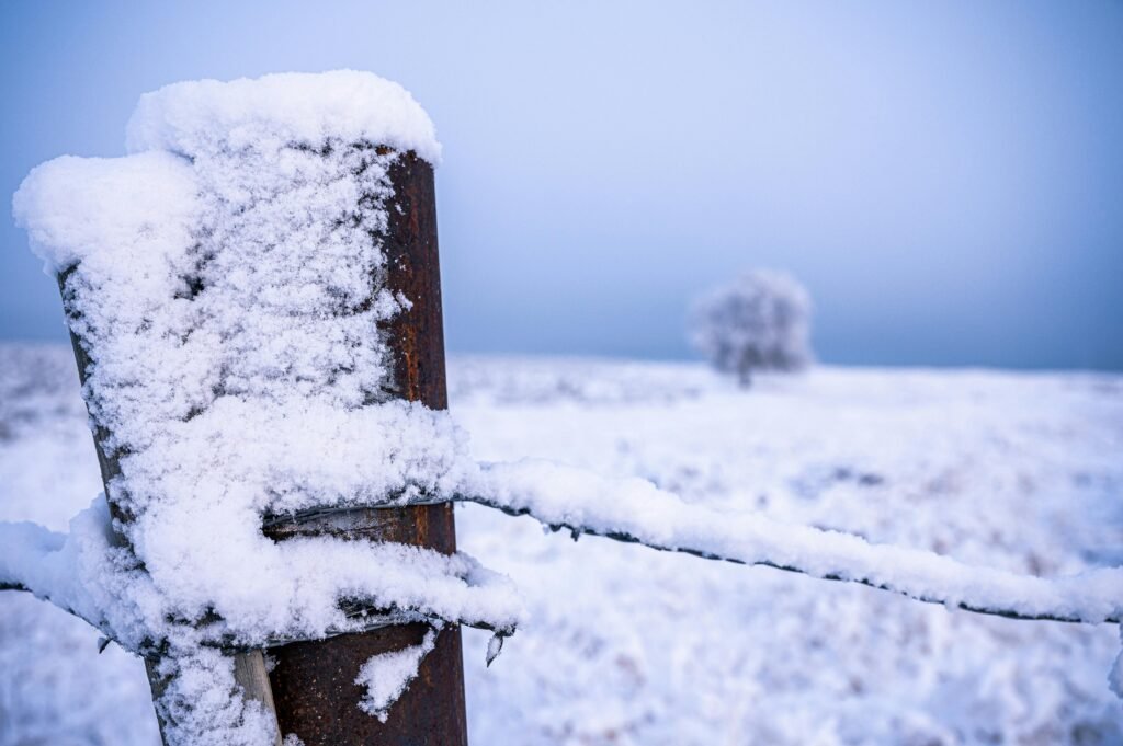 A fence covered in snow